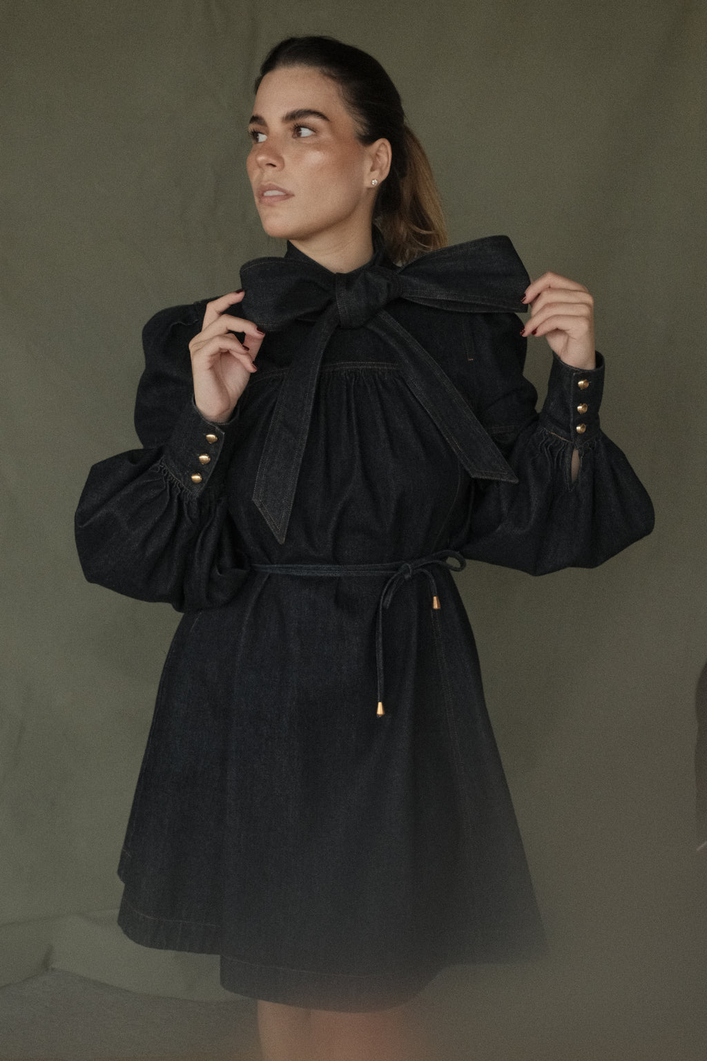 Mirabel Denim Mini Dress